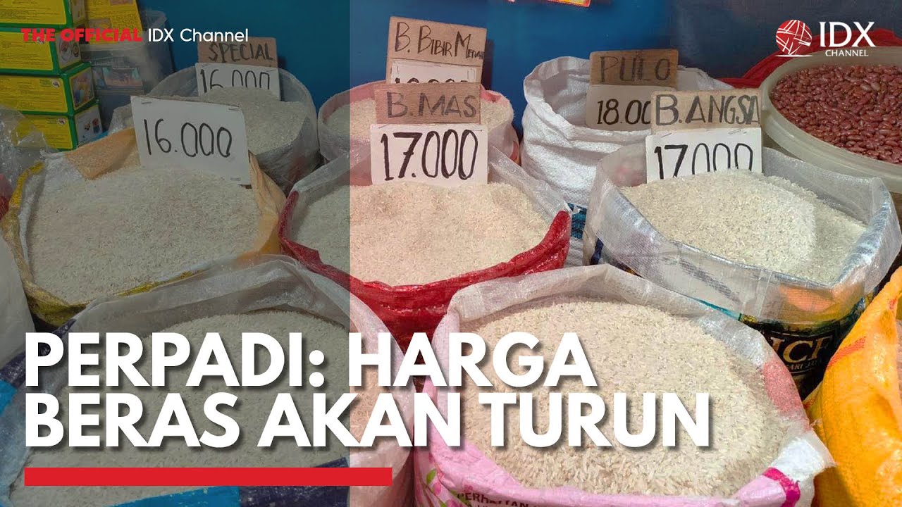 Perpadi: Harga Beras akan Turun | IDX CHANNEL