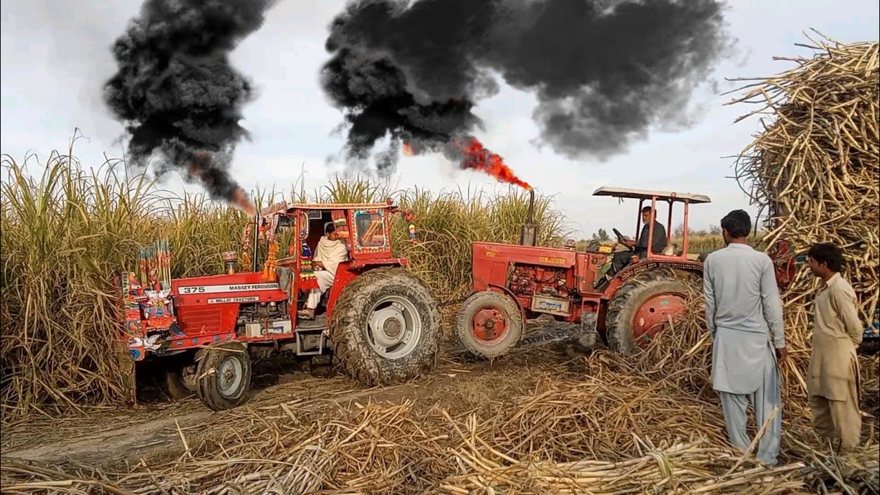 Belarus 510 Tractor Extreme Power With Heavy Load 🔥 | Massey Ferguson Tractor Tochan Power | Video