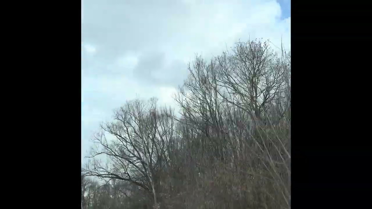 Така краса лише на Україні