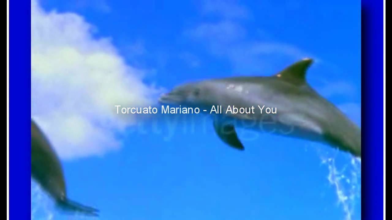Smooth Jazz - Torcuato Mariano - All About You