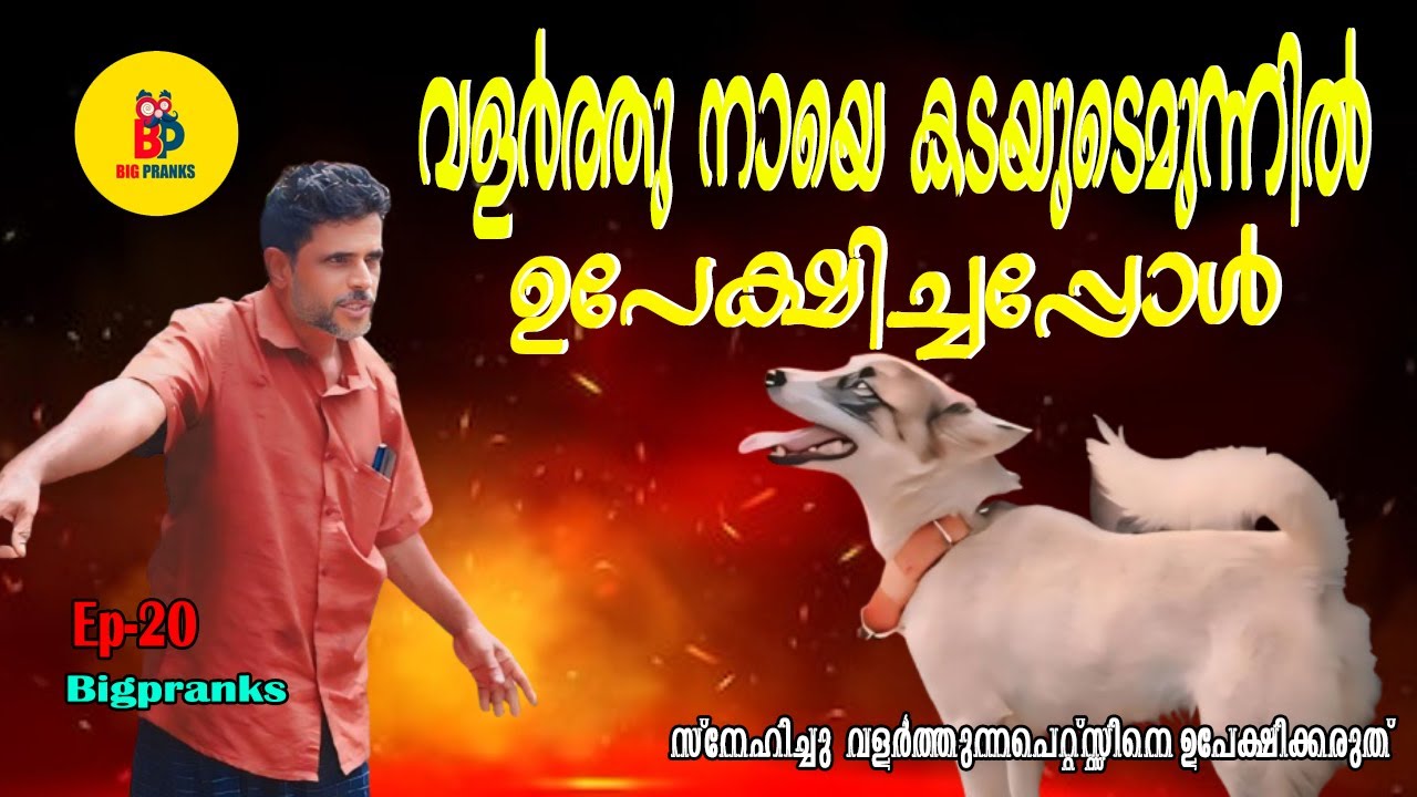 വളർത്തു നായയെ കടയു ടെ മുന്നിൽ ഉപേക്ഷിച്ചപ്പോൾ  | Bigpranks | Ep 20