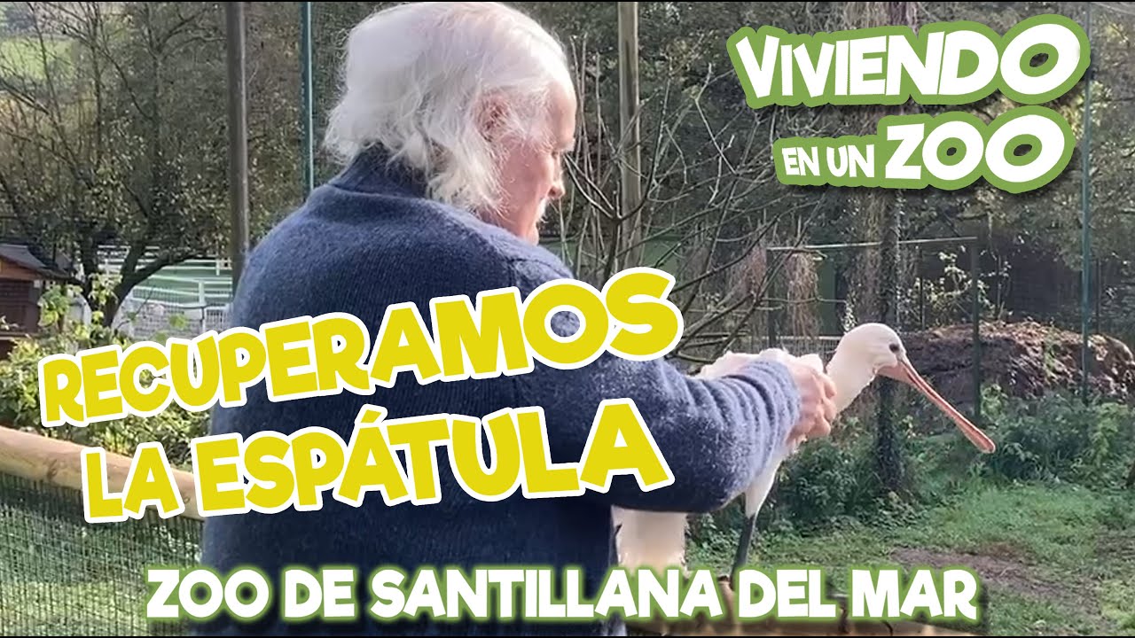 Recuperamos la Espátula
