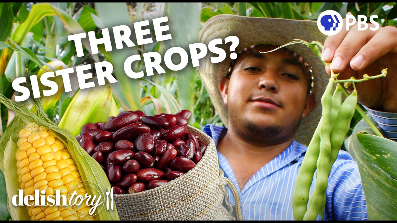 What Are The Three Sister Crops? | Delishtory