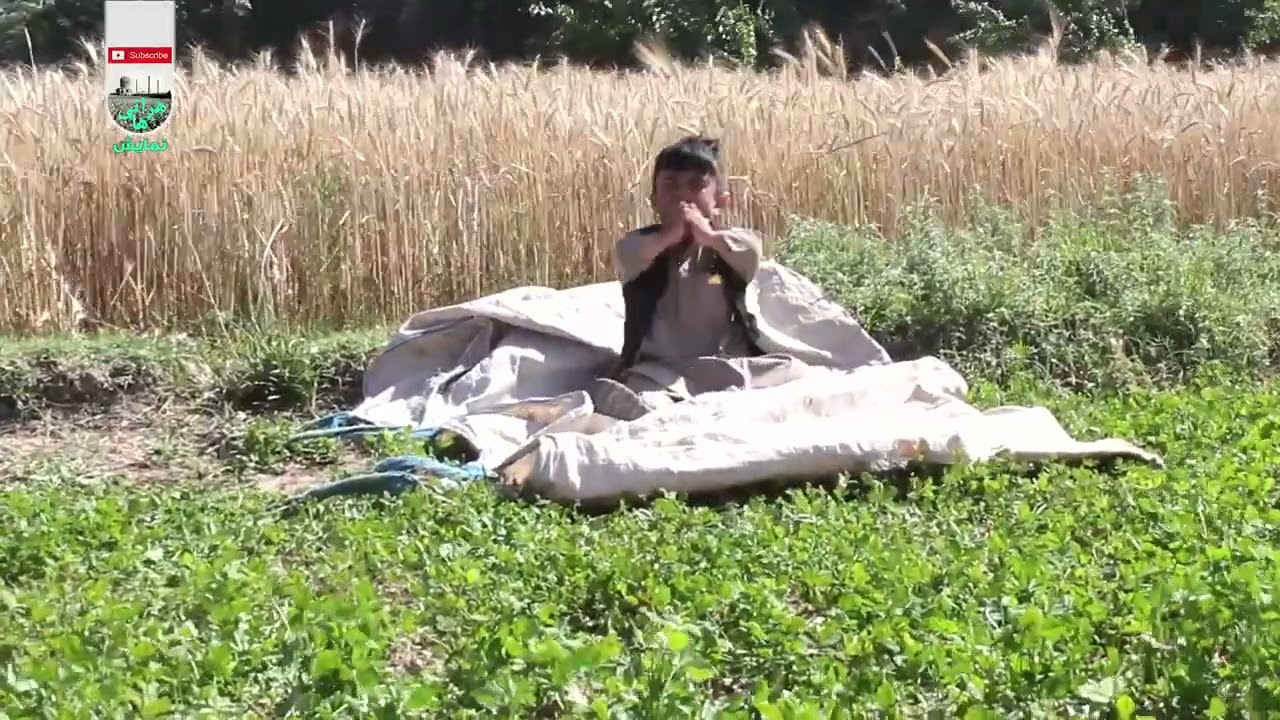 نمایش  نورالله خور به کوری زده به سرکجیر فلم بازی کرد