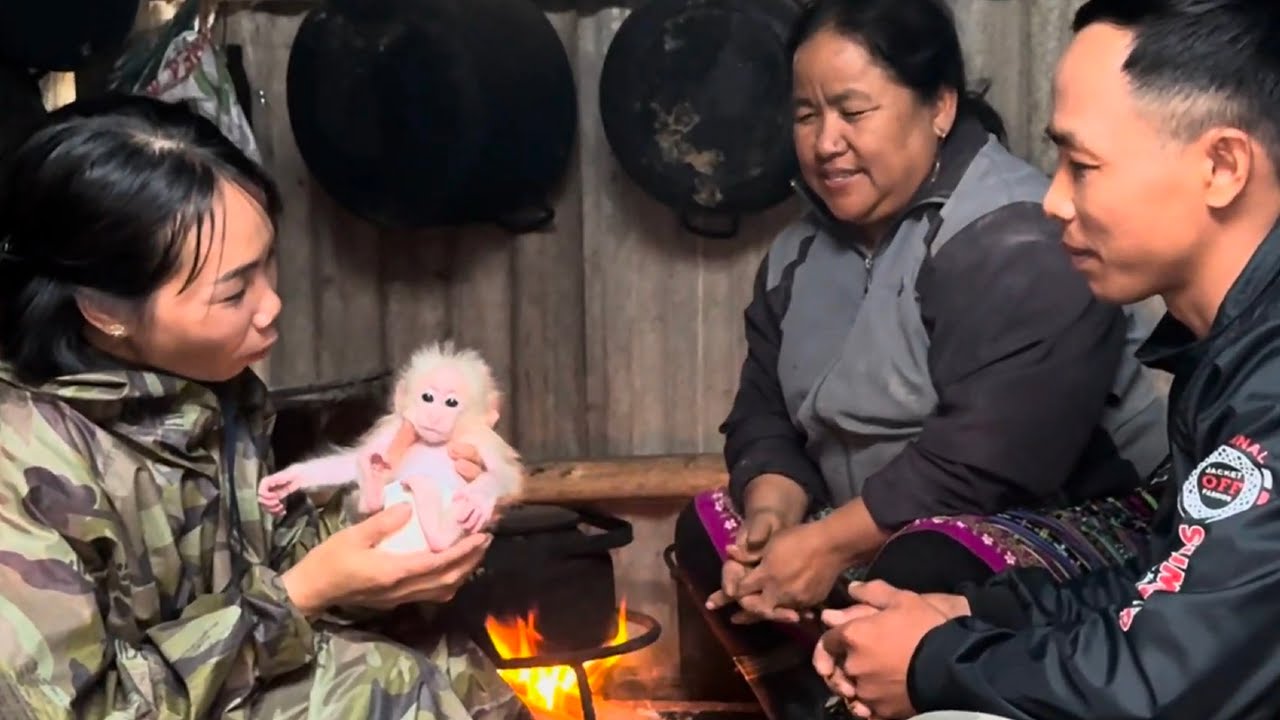 Touching story! Mom's journey of adopting and caring for baby monkey!