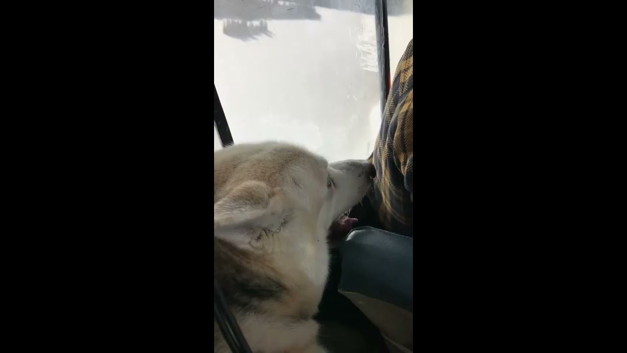 Taking Off From Olive Lake - Winter 2017