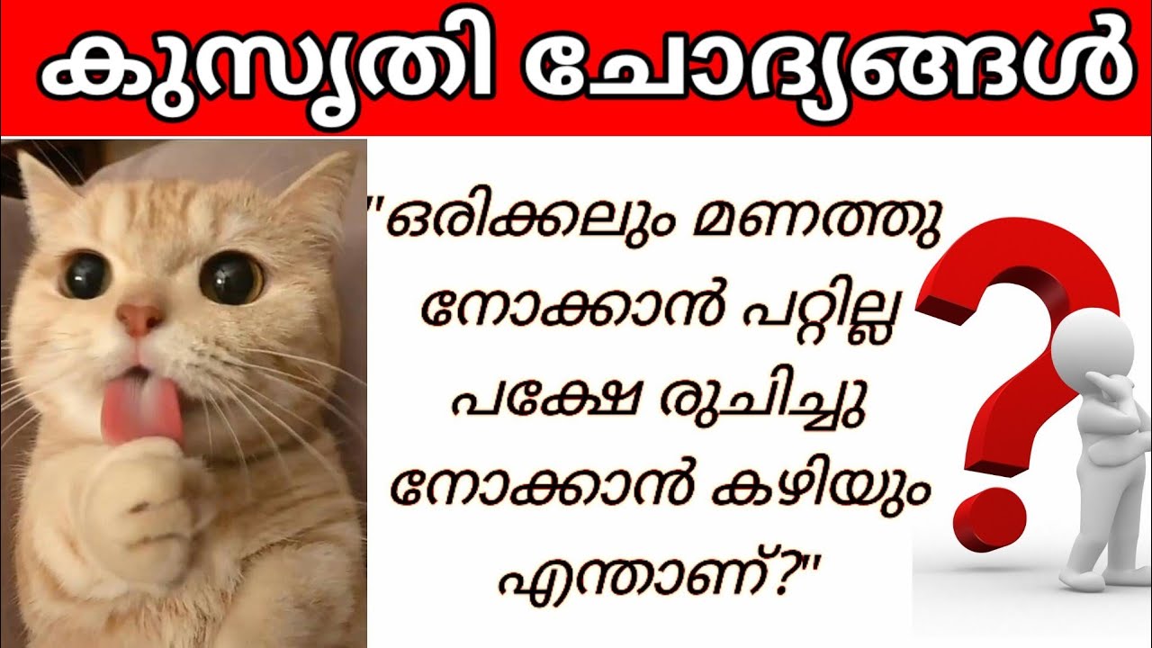 kusruthi chodhyangal കുസൃതി ചോദ്യങ്ങൾ|kusruthi chodyam malayalam|funny questions|riddleslpart15