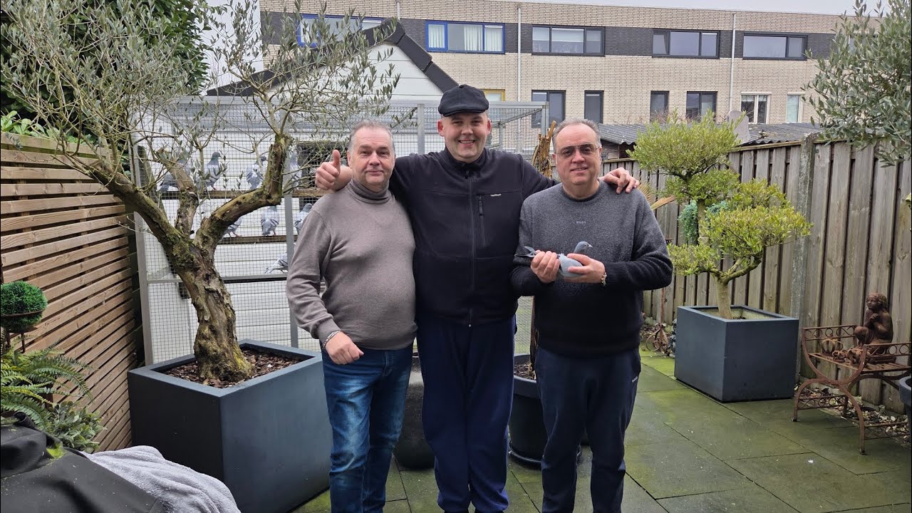 🚀🤞💥Combinatie Sanders-Hendriks - Gwiazdy sportu gołębiarskiego z Holandi.💥🤞🚀