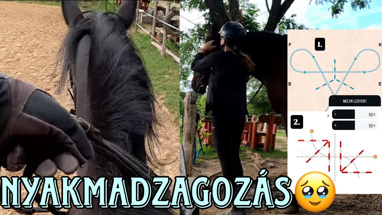 Ti irányítjátok a napomat! II Eq Motive