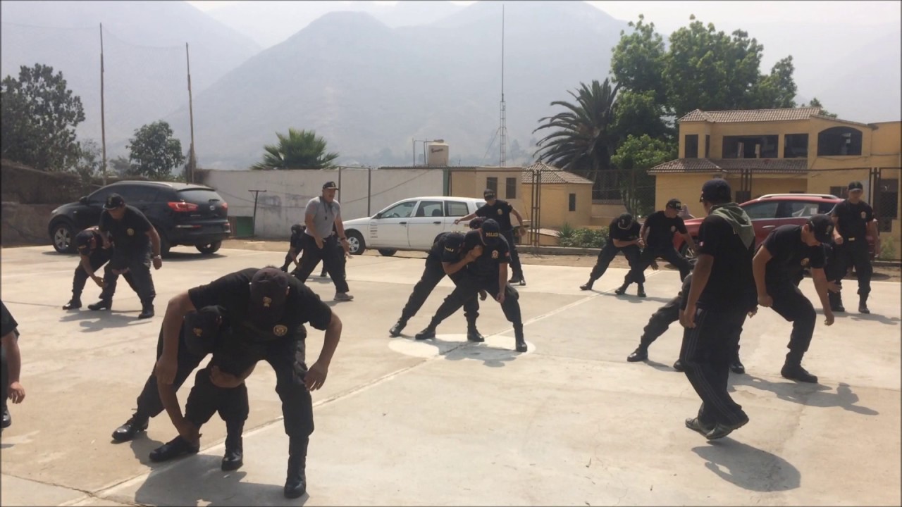 INSTRUCTORES DEFENSA PERSONAL PNP