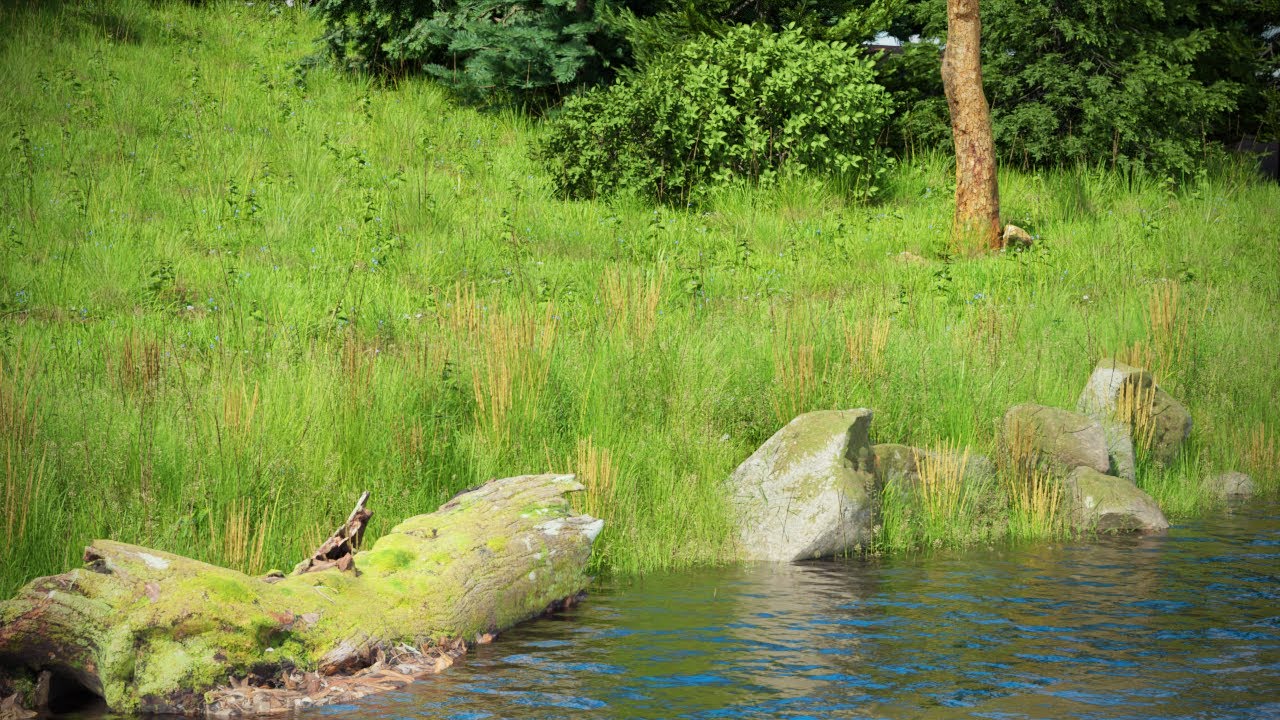 How I Create Realistic 3D Landscapes in Blender 2.9 (Botaniq Addon)