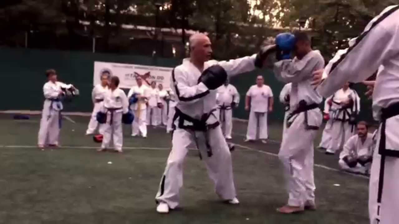 Master Vasilis Alexandris - Padwork (Olympos Summer Camp 2015)
