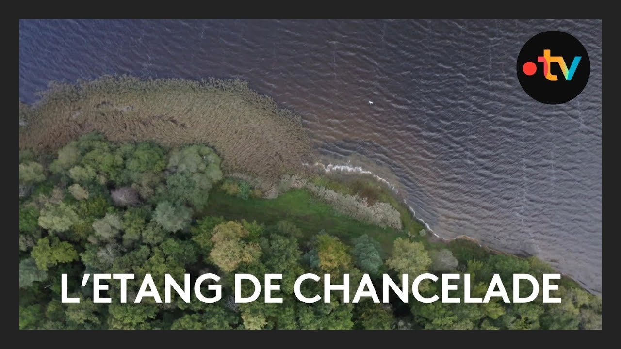Randonnée : à la découverte de l’étang de Chancelade, dans le Puy-de-Dôme