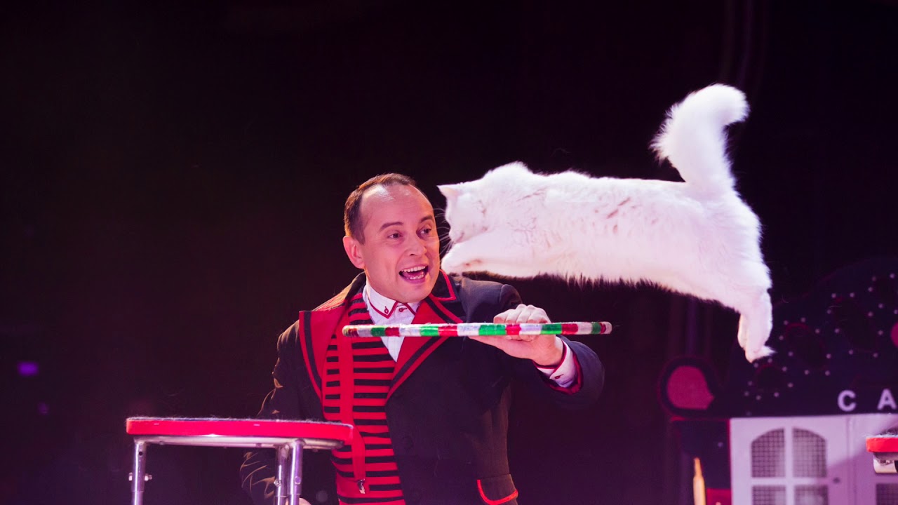 25ste Wintercircus