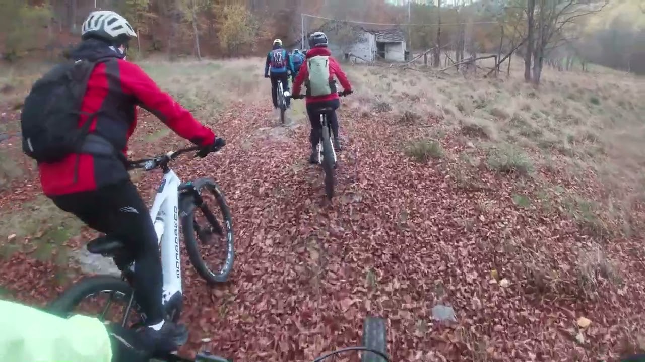 Fogliage - Chialamberto - 25/10/25