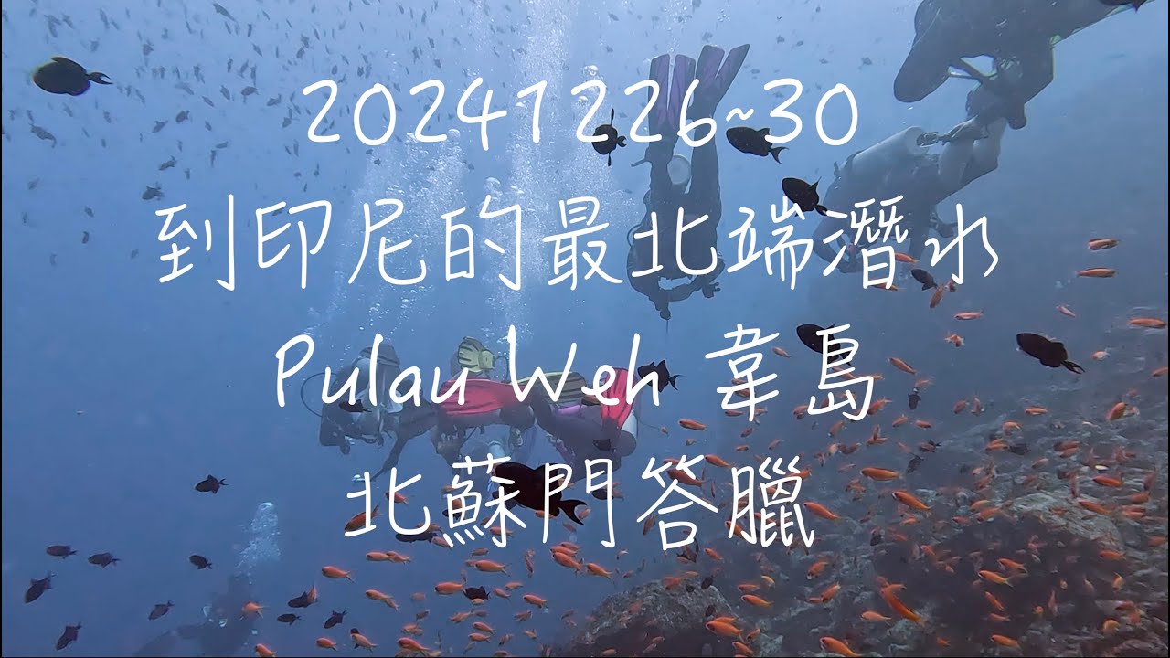 2024126~30 到印尼最北端潛水Pulau Weh韋島，北蘇門答臘