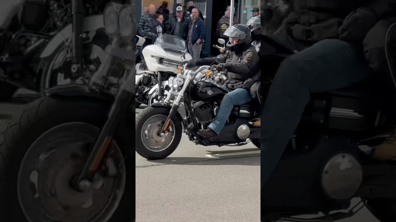 Harley Fat Bob#harley #fatbob