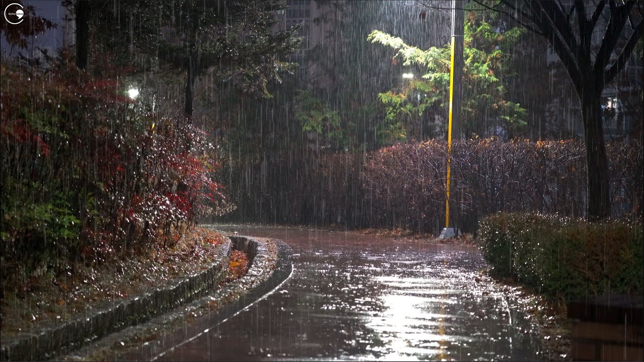 Успокаивающий звук дождя, успокаивающий разум на тихой улице, белый шум, избавляющий от бессонницы.