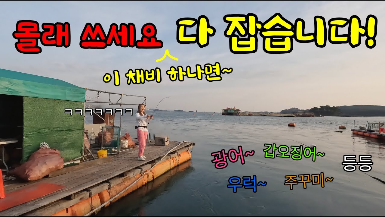 뭐든 다 잡을 수 있는 채비가 있었다! 오징어, 물고기 안 가리고 진짜 다 잡아내네!!