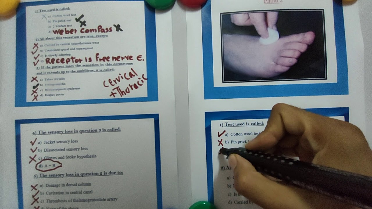 Sensory Practical (CNS Physiology) Dr Mohamed Fayez