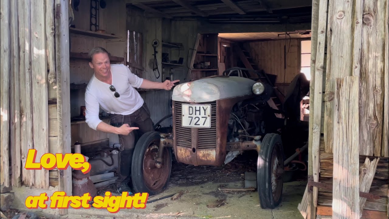 Barnfind! Little Grey Fergie, Grålle Ferguson