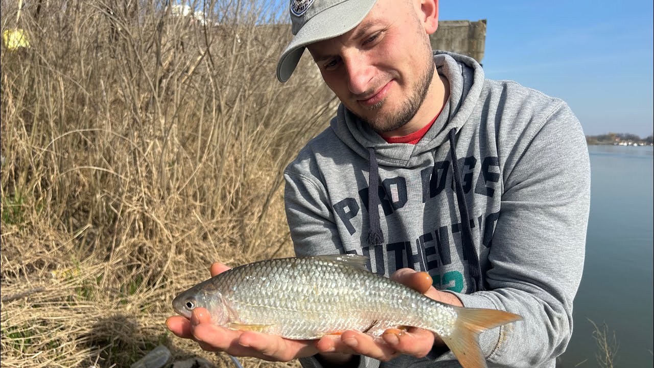 Feederom i plovkom na savske plotice !