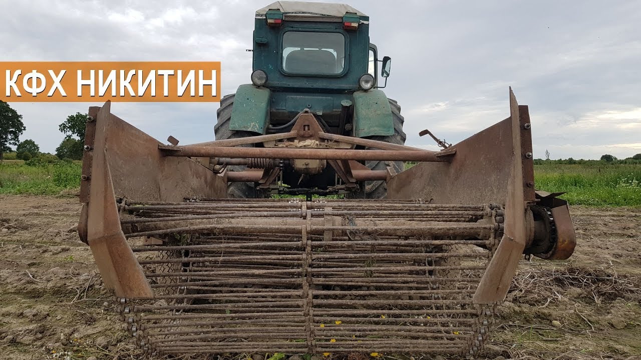 КФХ Андрея Никитина. Выращивание овощей. Калининградская область