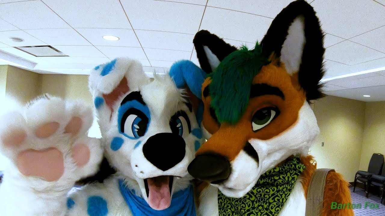 Midwest FurFest 2018 - Random Clips