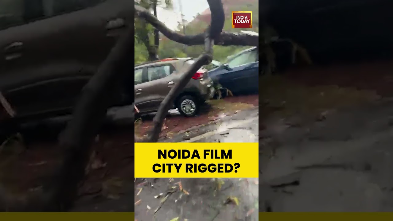 Trees Crash on Vehicles After Heavy Rain & Dust Storm Hits Noida Sector 16 | India Today