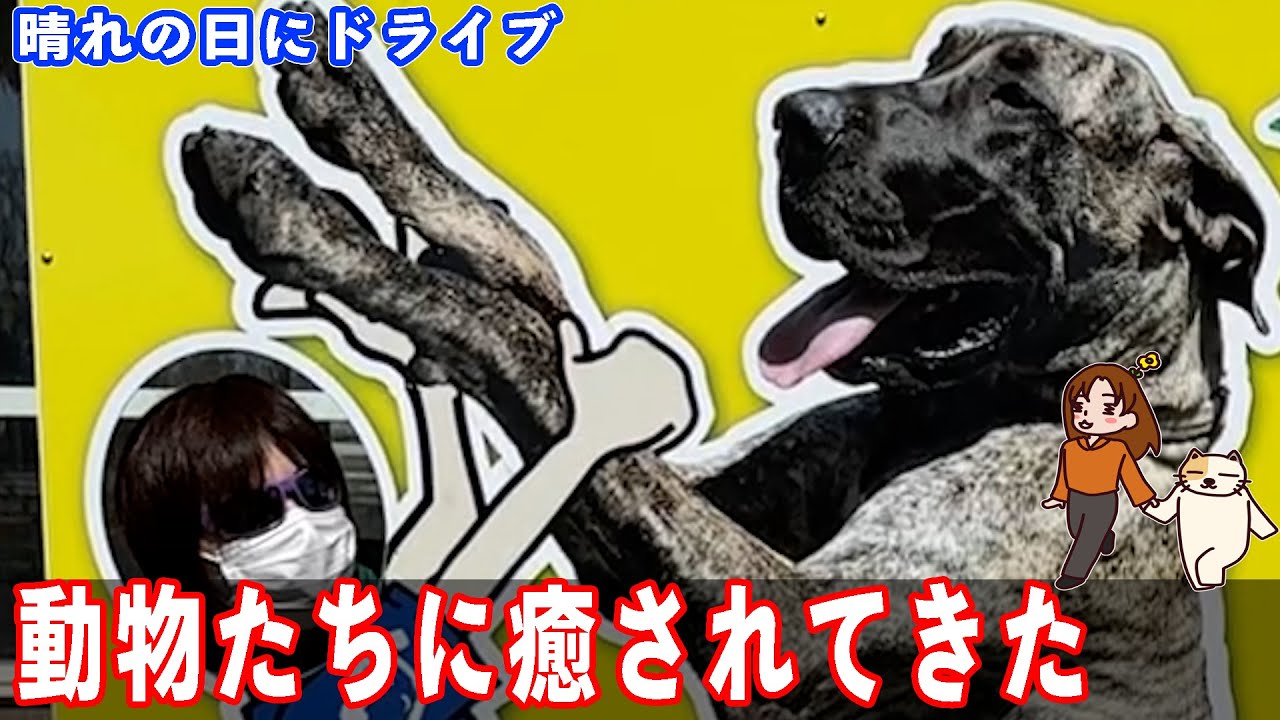 【つくばわんわんランド】抽選に遅れたので動物と戯れて来た。