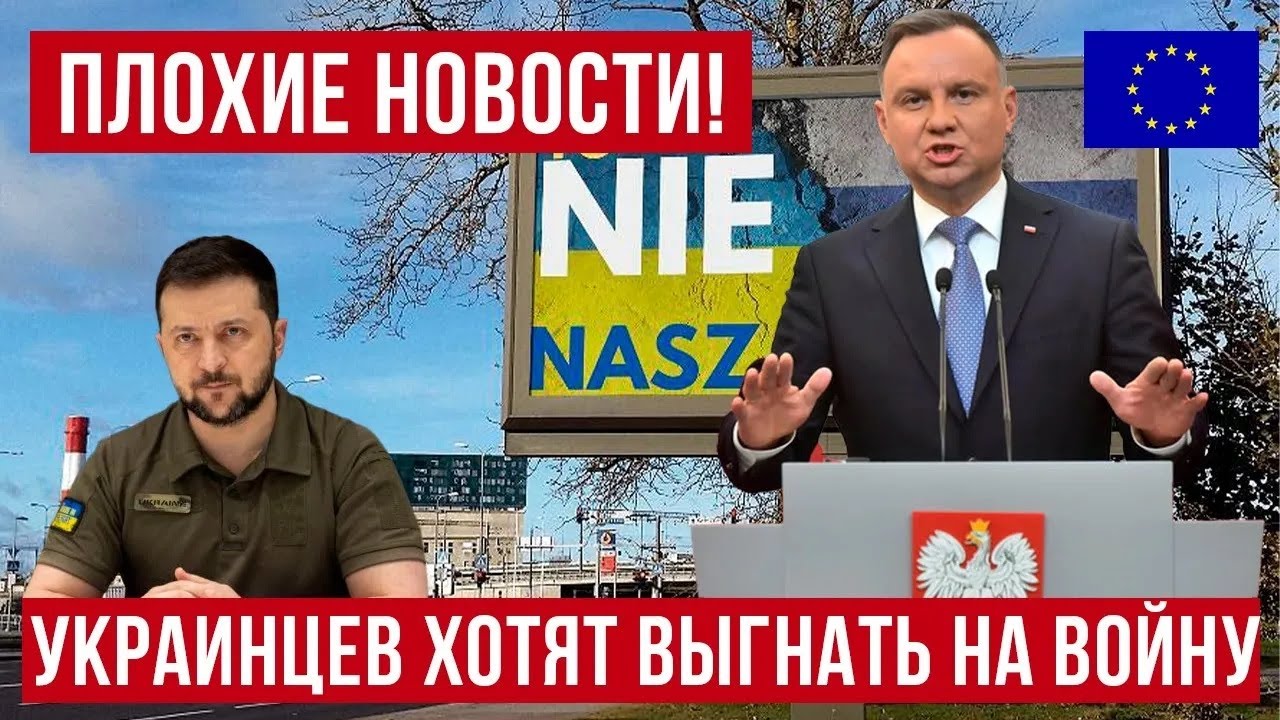 ШОК! Депутат из Польши хочет отправить украинцев на войну!