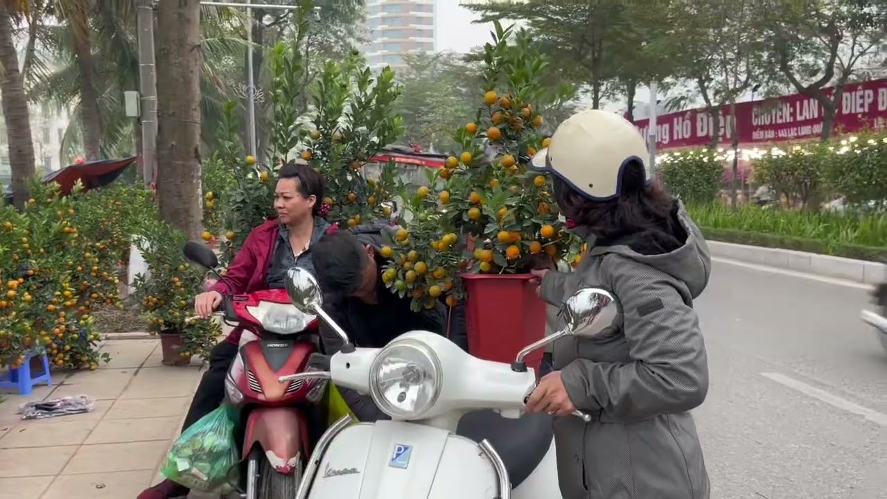 Không khí Tết cận kề ,đường xá tấp lập bà con đi mua đào quất.#tintuc  