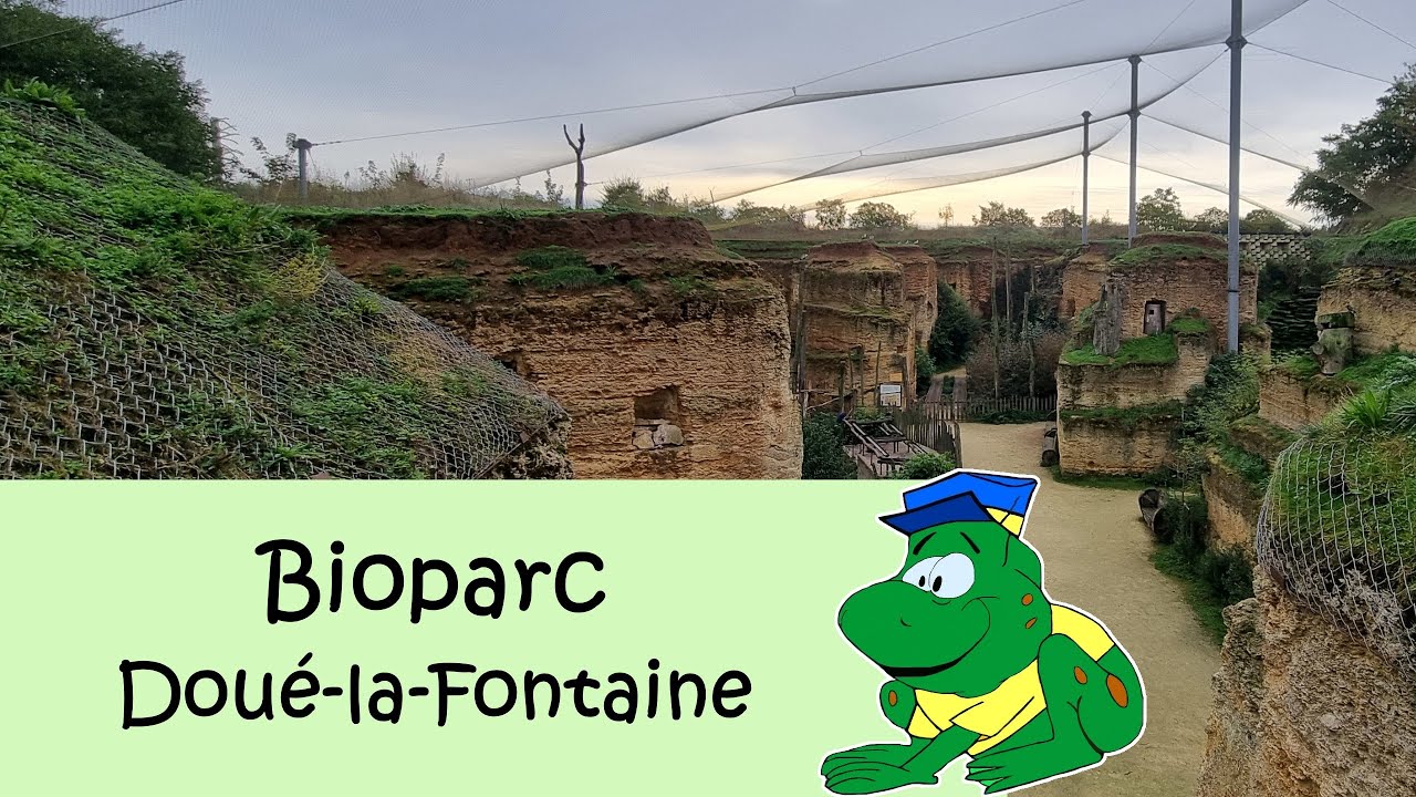 Bioparc Doué-la-Fontaine, nazomer 2024