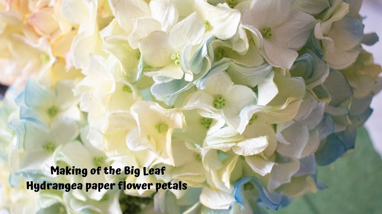 Making the Big Leaf Hydrangea paper flower petals