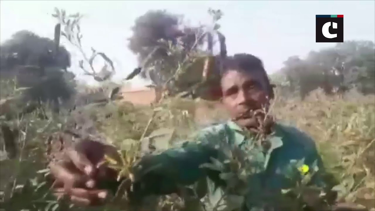 Farmers in MP&rsquo;s Damoh demand compensation for destroyed crops