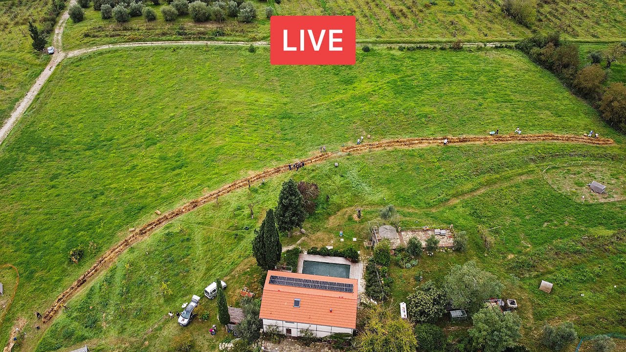 Quello che devi sapere sull'AGRICOLTURA SINTROPICA. con Gennaro Cardone 🔴