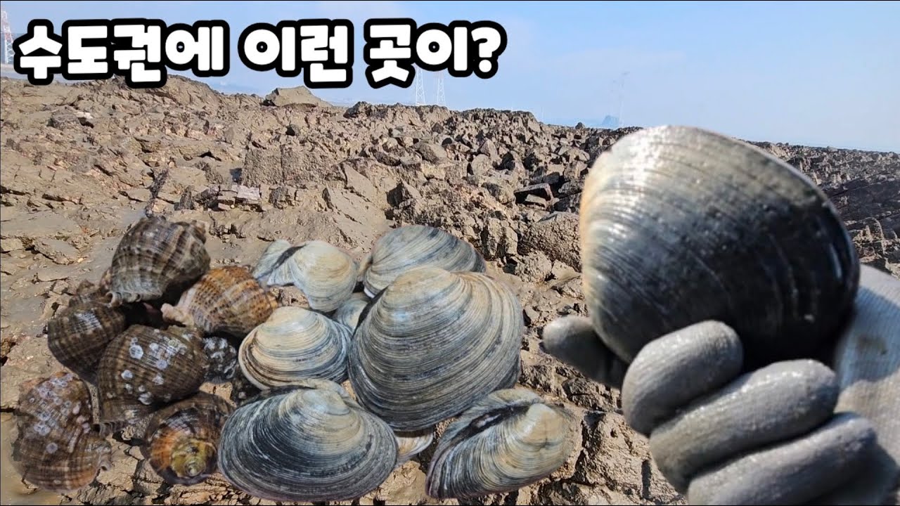 영흥도에 이런 곳이? 태안 지형과 흡사한 이곳에 대물이 숨어있다.+먹방(19금)
