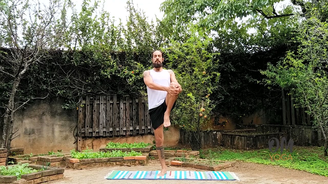 HATHA YOGA |avançado| força e equilíbrio
