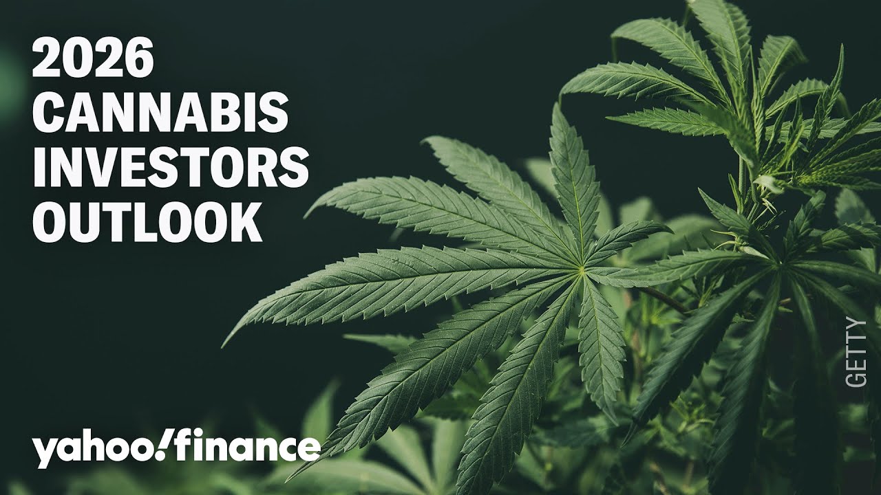 How to play cannabis stocks in 2026