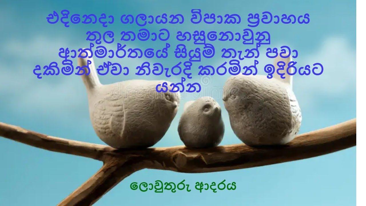 එදිනෙදා ගලායන විපාක  තුල හසුනො‌වුනු ආ‌ත්මාර්තයේ සියුම් තැන්පවා දකිමින්නිවැරදි කරමින් ඉදිරියට යන්න