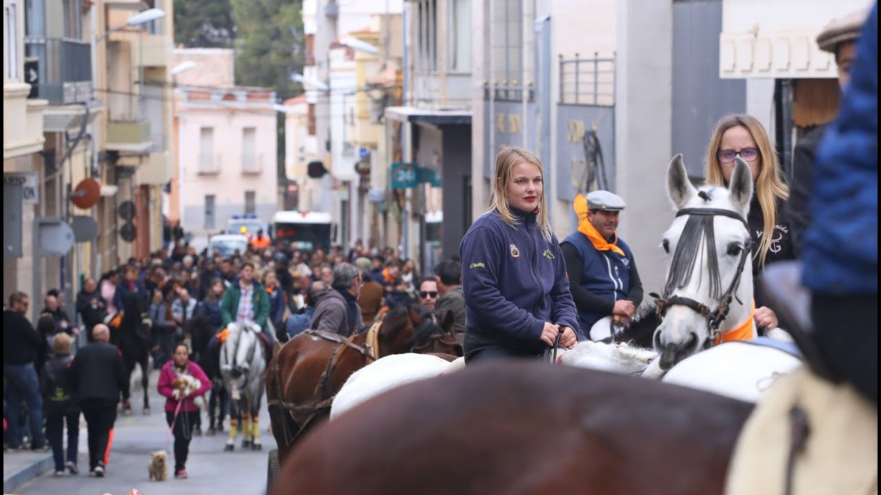 Romería de San Antón (Petrer)