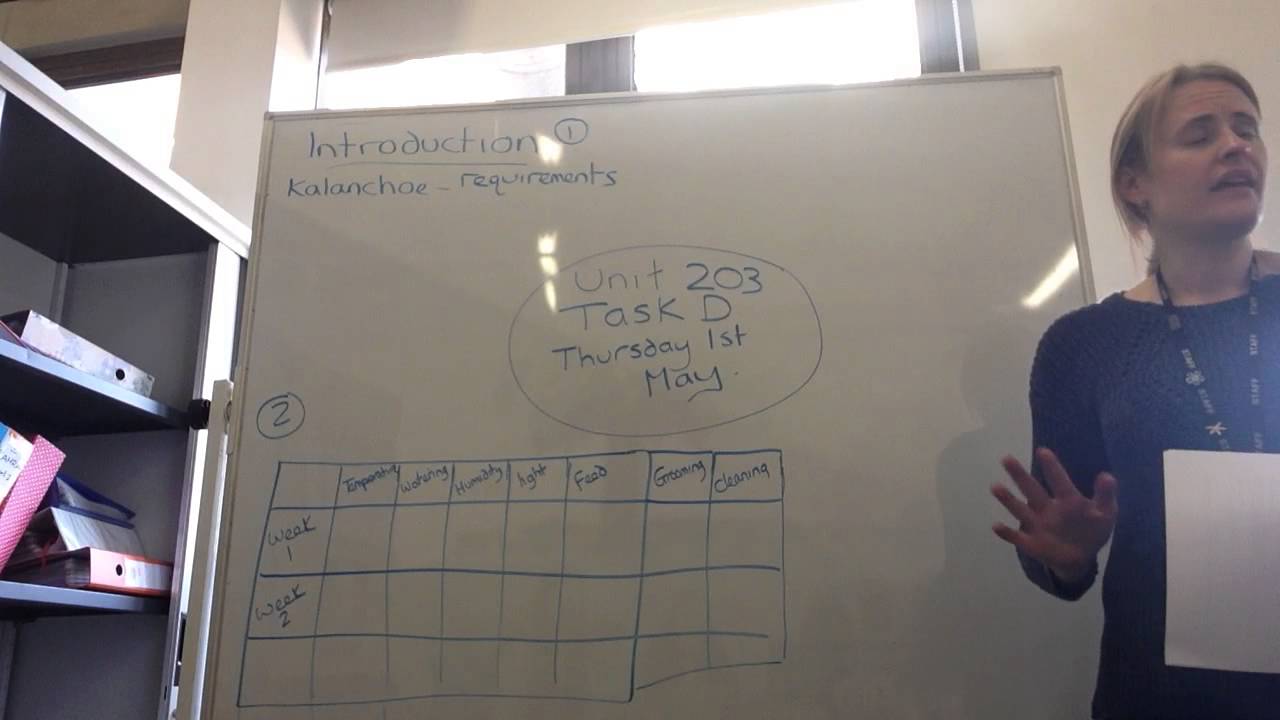 Level 2 Assignment briefing Unit 203 Task D