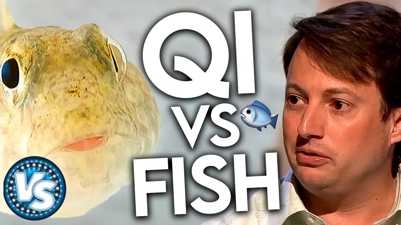 QI vs FISH! Funny and Interesting Rounds