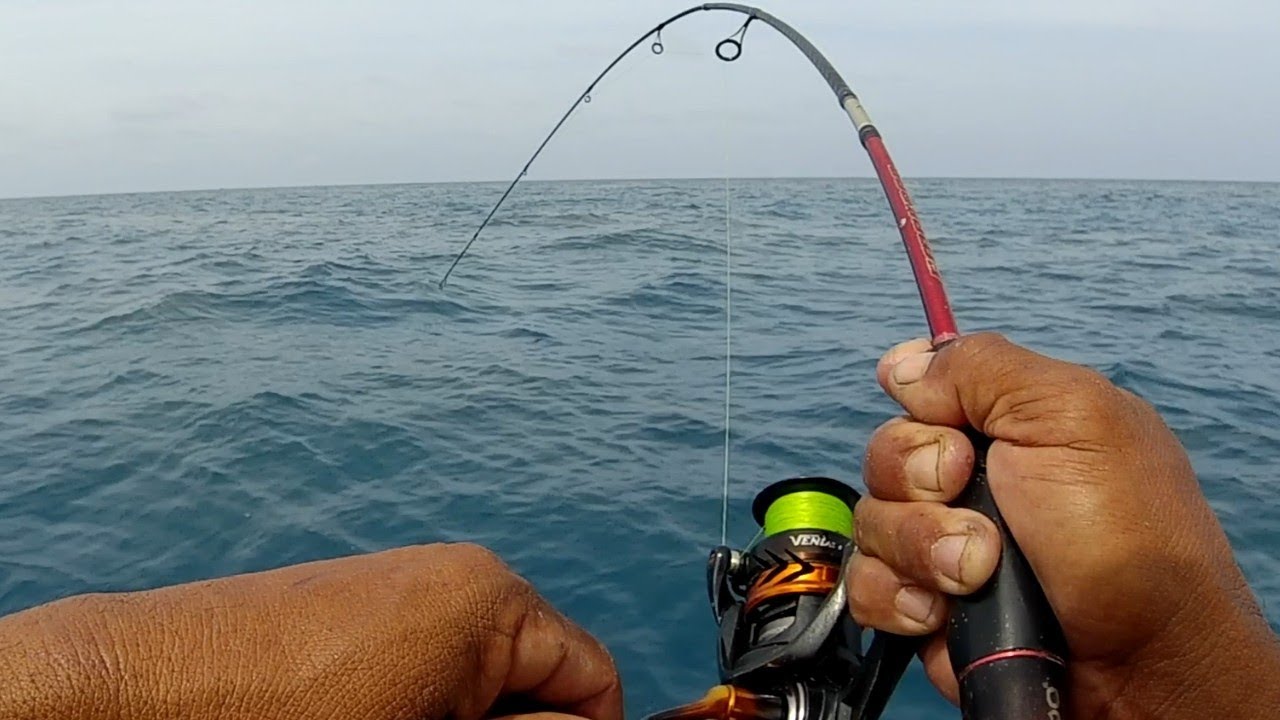 MANCING PAKAI MICRO JIG SABIKI DI BULAN PUASA.