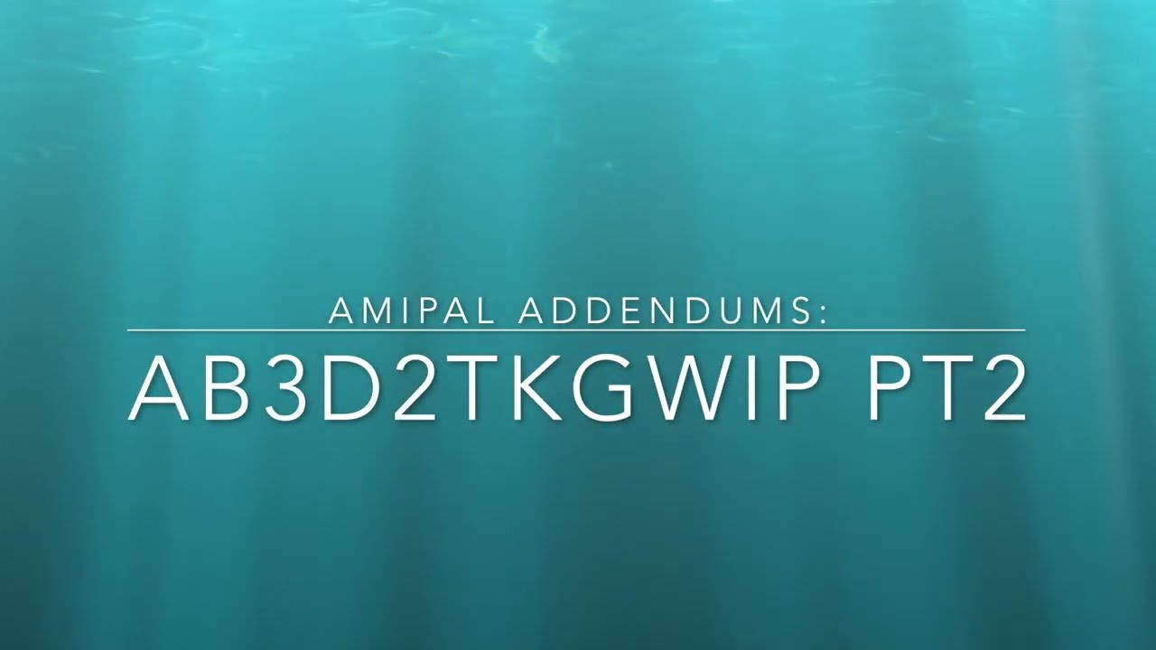 amipal addendums: AB3DIITKGWIP part 2