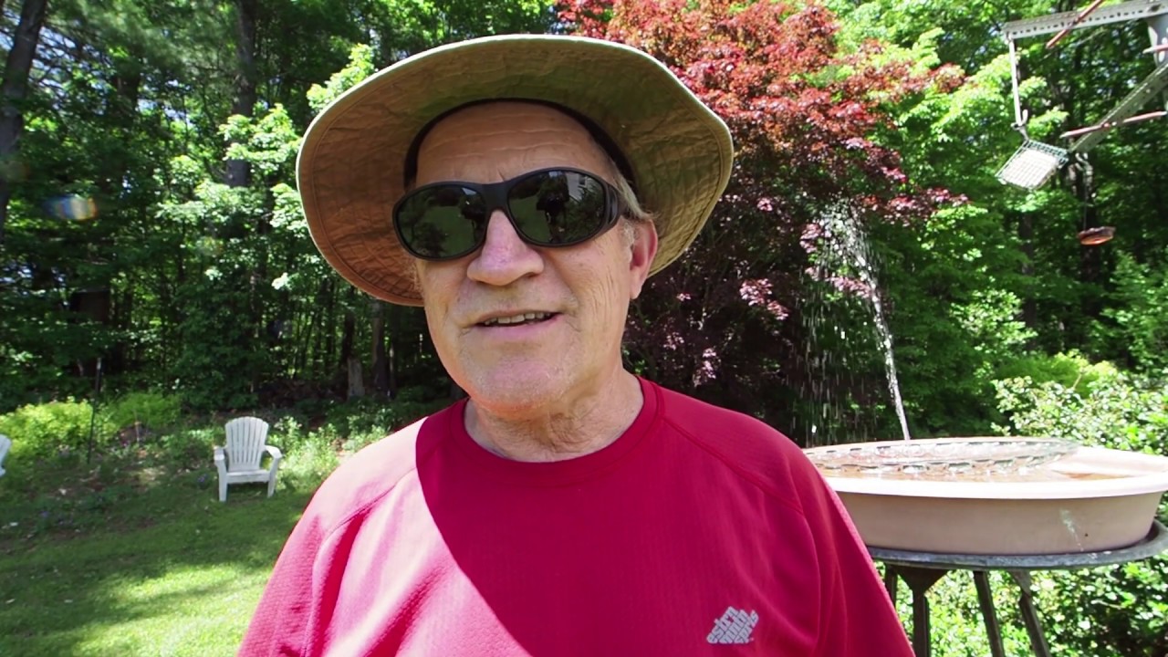 At Home with John Episode 6 - Quackgrass (Elymus repens) Control