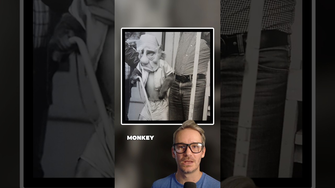 The original Yoda actor for Star Wars was a Monkey! #shorts