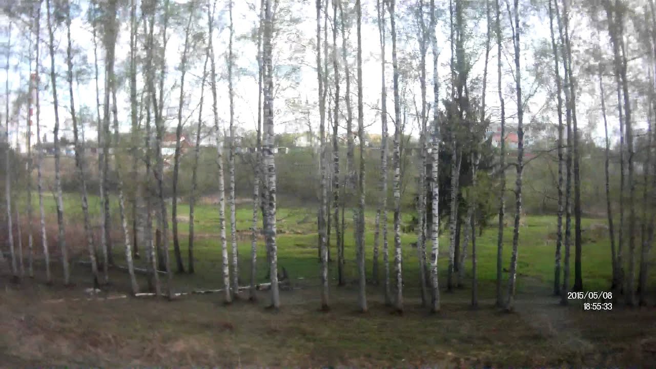 Вязьма - Вязьма Бр. из окна поезда