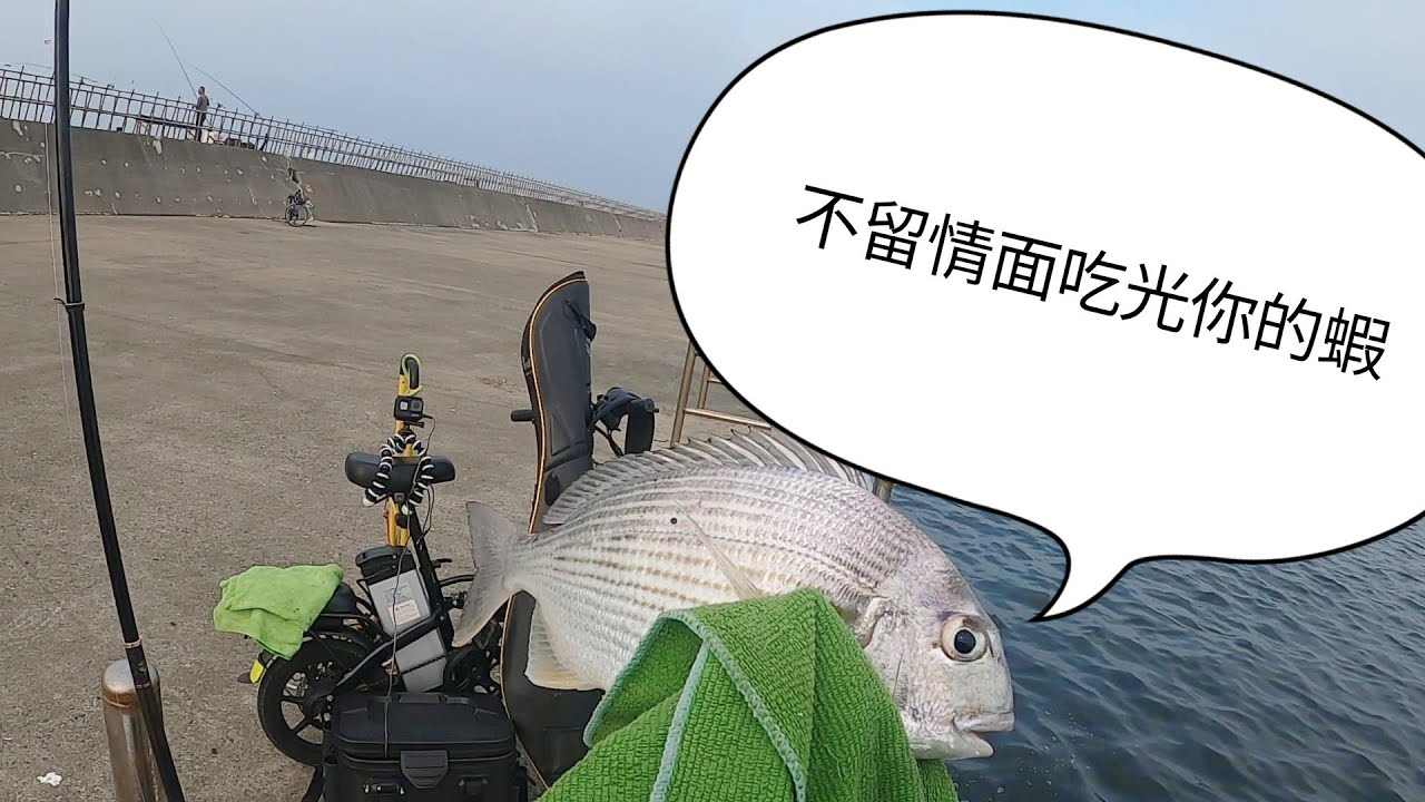 (ep33)安平南堤/一直咬拉到生氣/個人紀錄魚出水