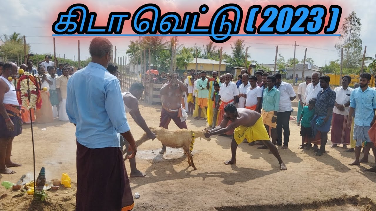 துரௌபதை அம்மன் கோவில் கிடாவெட்டு | துரௌபதை அம்மன் கோவில் பூ (தீ) அள்ளுதல்